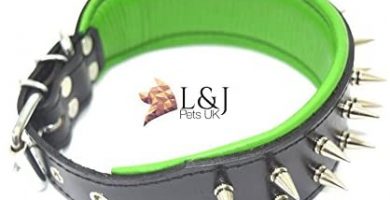 collar para perros con pinchos plateados
