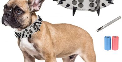 collar con pinchos negros para perros