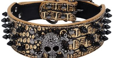 collar dorado con pinchos para perros