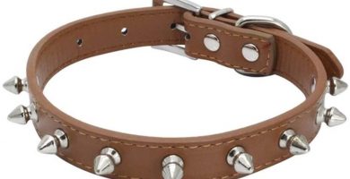 collar marron de cuero para perros con pinchos