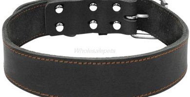 resistente collar para pitbull