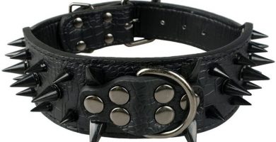 collar de piel negra para pitbull