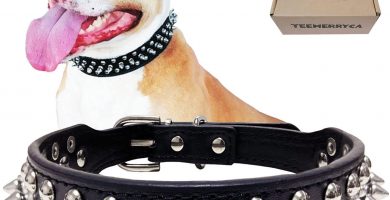 collar negro con pinchos metalicos
