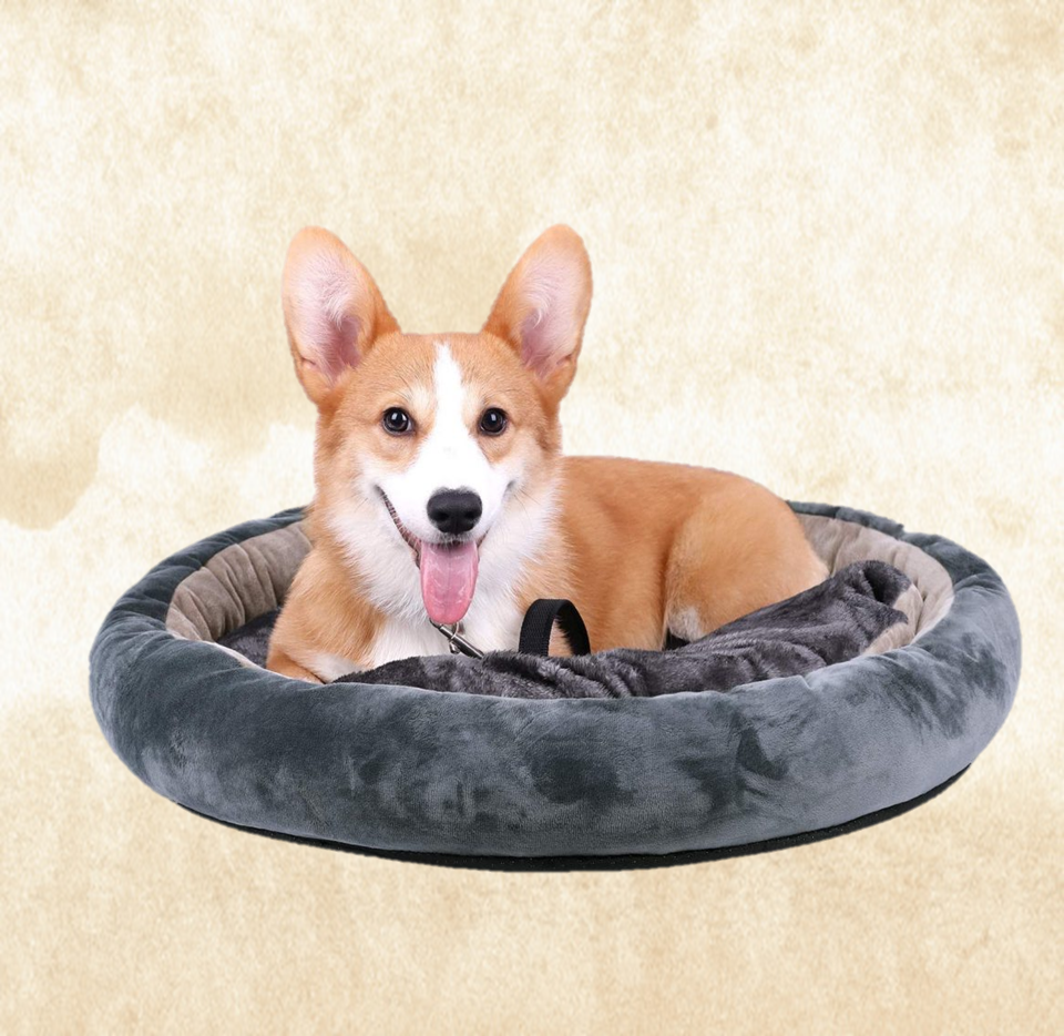 camas para perros