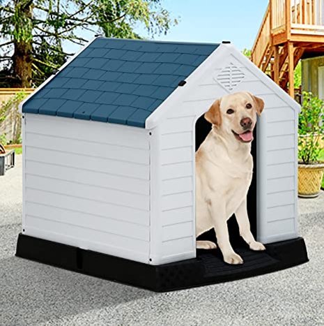 casa para perro