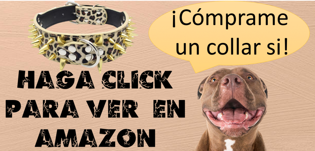 cadenas para perros pitbull