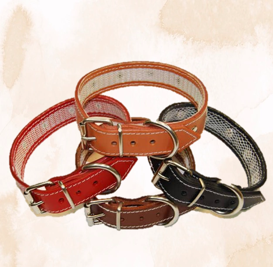 COLLARES PARA PERROS