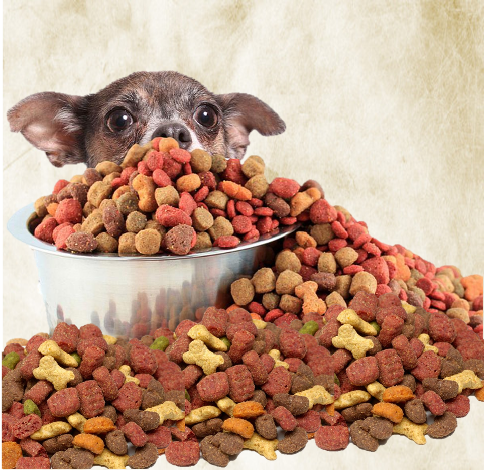 croquetas y alimentos para perros