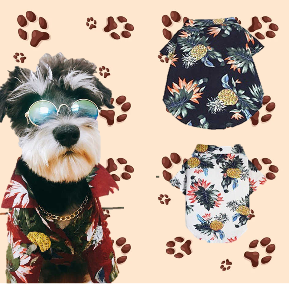 VESTIMENTA PARA PERROS