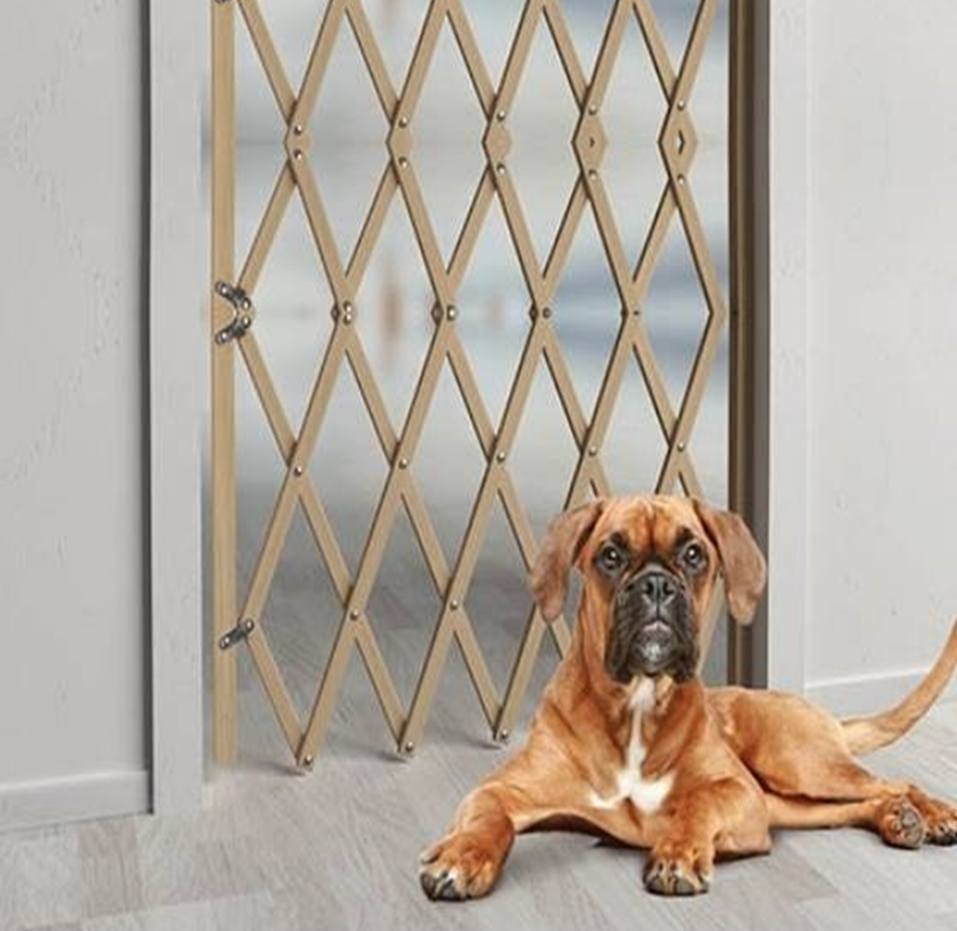 protectores para perros